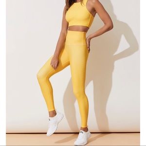 BEACH RIOT x CARBON38 nwt leggings